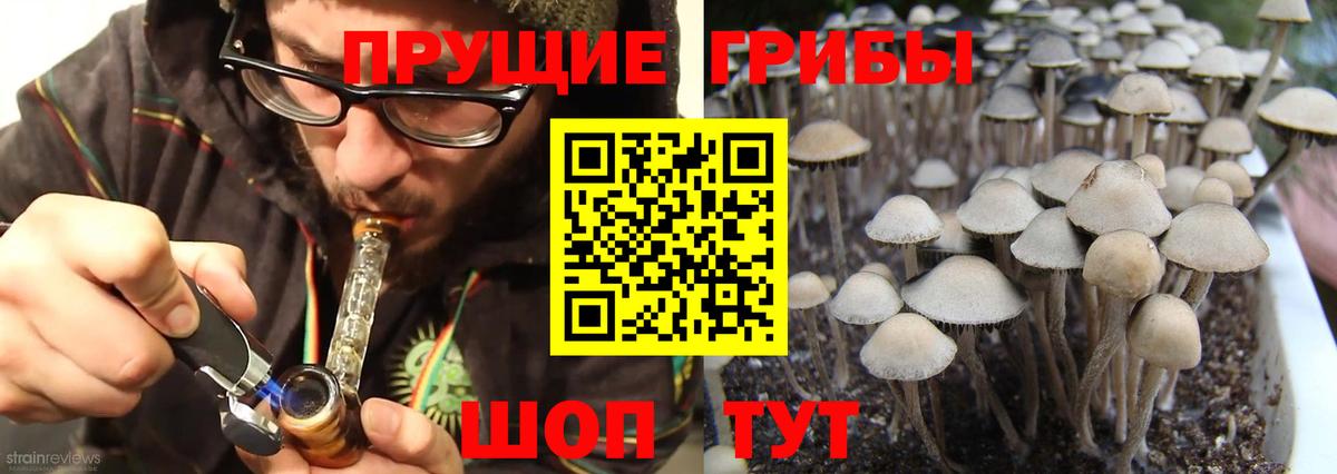 Галлюциногенные грибы MAGIC MUSHROOMS Кувандык