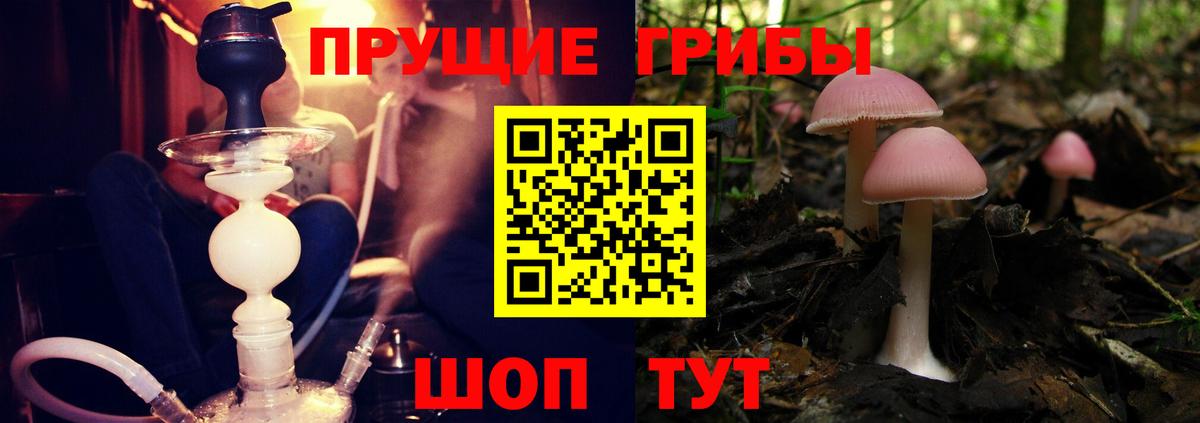 Кувандык  Псилоцибиновые грибы ЛСД  Вход с VPN 